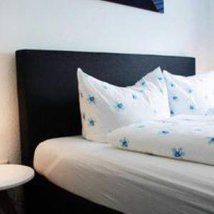 Hotel Restaurant Harrier Hof 브라케 외부 사진