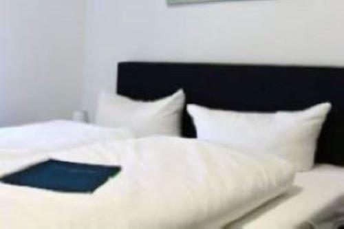 Hotel Restaurant Harrier Hof 브라케 외부 사진